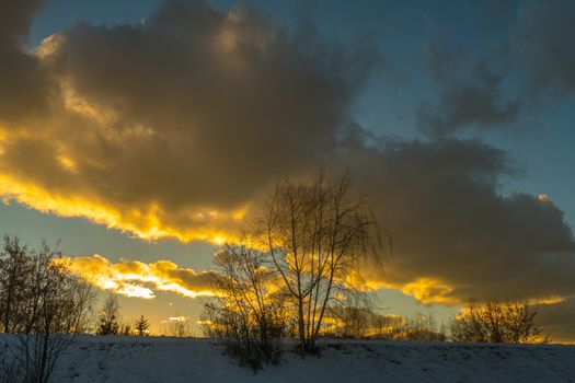 Tree in winter on a background of colored clouds 2016