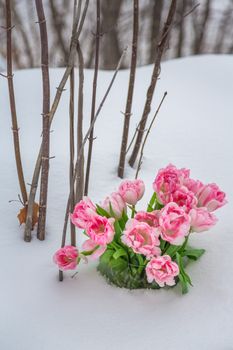 Fresh flowers in a vase standing in the snow