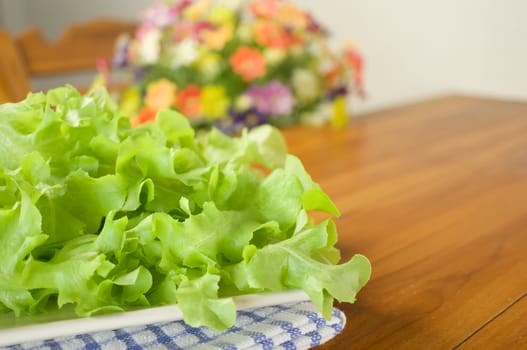 Fresh green salad for vegetarian place in plate with blue fabric on wood table and blur flower as background.