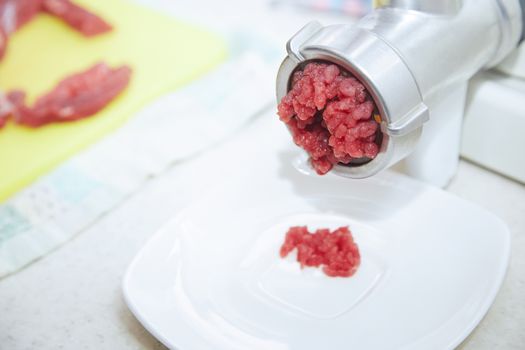 Mincing machine with forse meat. Close-up view