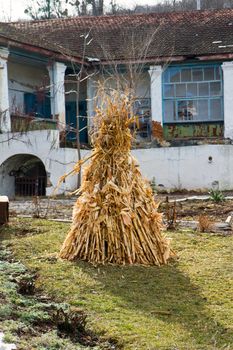 Dry corn ears stack against the backdrop of a ruined house