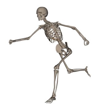 Frontview of human skeleton running isolated in white background - 3D render