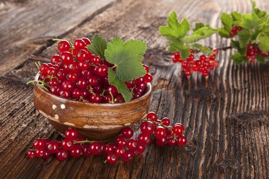 Red currant on wooden background. Healthy summer fruit eating.