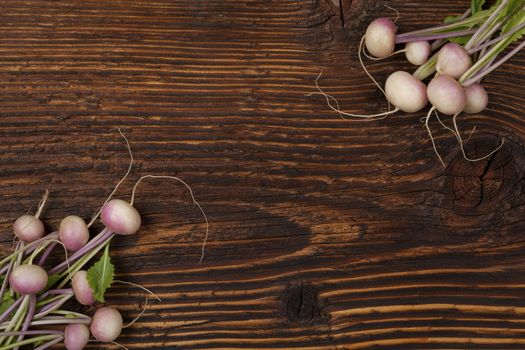 Ripe fresh radish bundle on wooden background. Seasonal organic vegetable harvest. Farmer market.