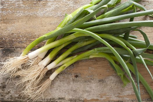 Bunch of fresh green spring onions for a pungent seasoning for salads or cooking lying on a rustic wooden table viewed from above