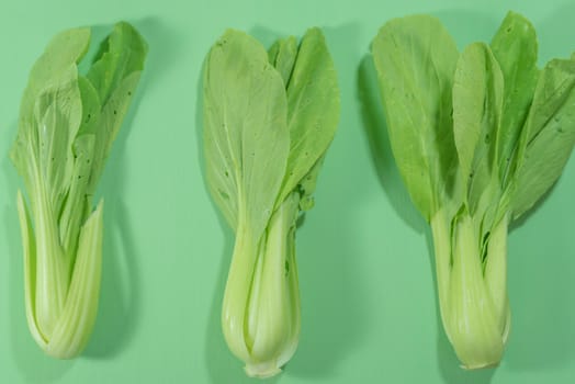 Fresh vagetable, Chinese cabbage on green background