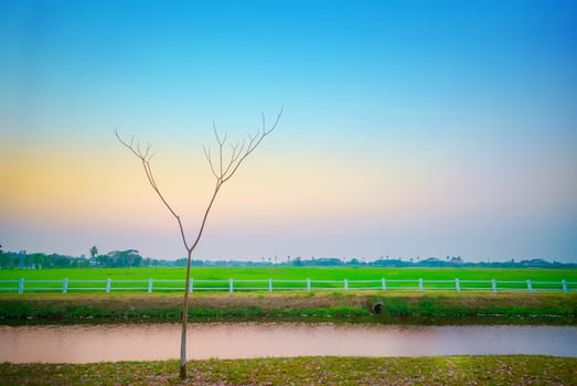 Beautiful Sunset Water Reflections Green fields, white fences.