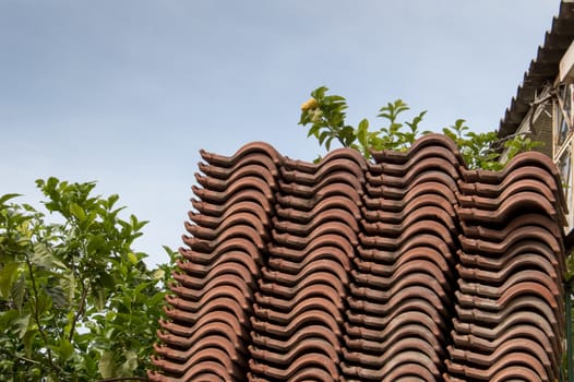 Declined pile of roof tiles, creating a wave pattern. Citrus trees around. Blue sky.