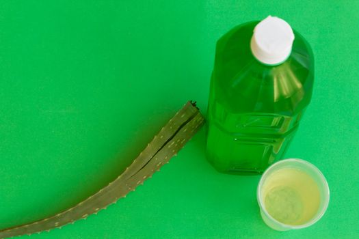 the branch of aloe plant is extracted a refreshing jiuce drink