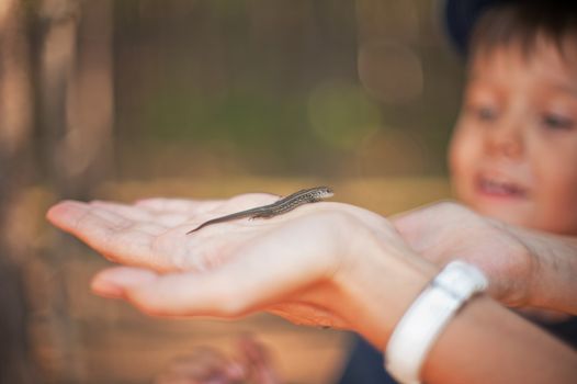 Mother and her little son find lizard in the forest