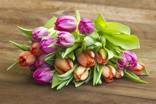 colourful tulips on wooden background