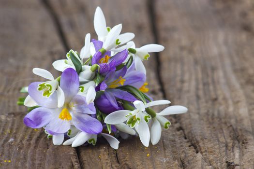 Bunch of crocus and snowdrops on the wooden table.