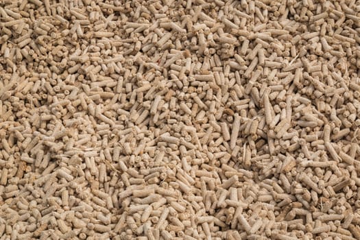 Dry corncobs after harvesting.