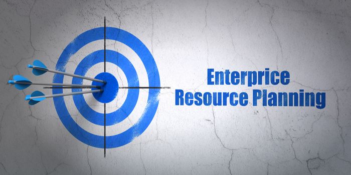 Success business concept: arrows hitting the center of target, Blue Enterprice Resource Planning on wall background