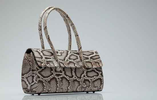 close up view of  nice small  snake skin  ladie's  bag on grey back