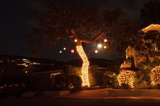 Full moon peaks through a tree with Christmas lights and balls in Laguna Beach, California
