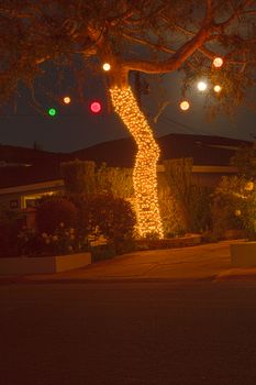 Full moon peaks through a tree with Christmas lights and balls in Laguna Beach, California