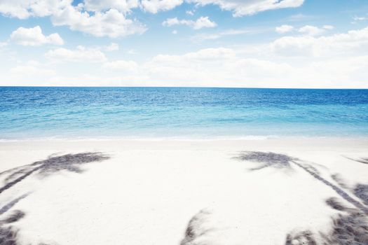 View of nice tropical  beach  with some palm's shadows  around