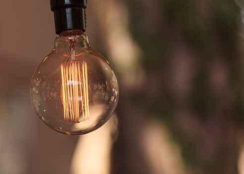 Ornamental light bulb lit up and hanging from the ceiling with a modern kitchen in the background, representing a rustic concept of success.