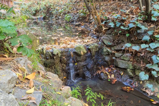 Ferndell hiking trail with ferns, small waterfalls and ponds in Los Angeles, California, United States