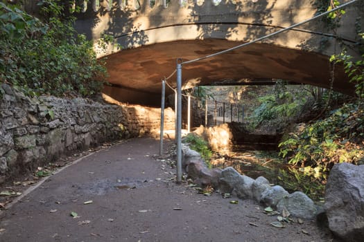 Ferndell hiking trail with ferns, small waterfalls and ponds in Los Angeles, California, United States