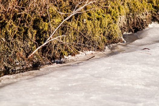 moss and ice on the river in the spring