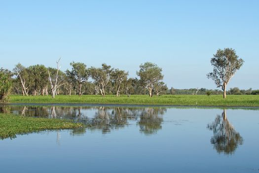Landscape of the Kakadu National Park close to Yellow Water, Australia