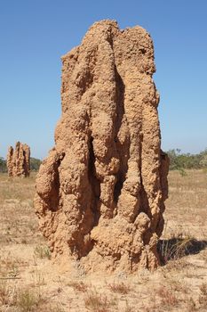 Termite mound, Kakadu National Park, Australia