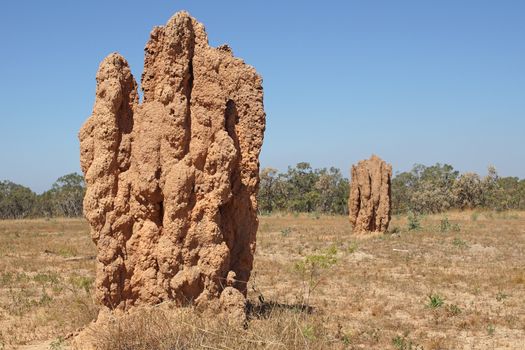 Termite mound, Kakadu National Park, Australia