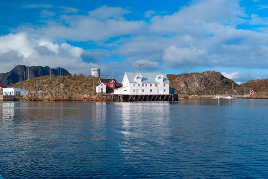 White fish factory on the Lofoten island