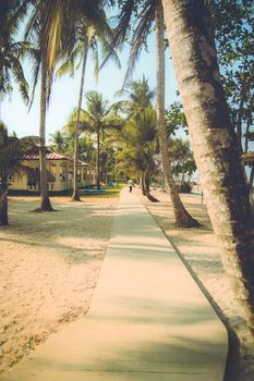 A beautiful boardwalk near the beach in laidback Ngwe Saung, Myanmar.