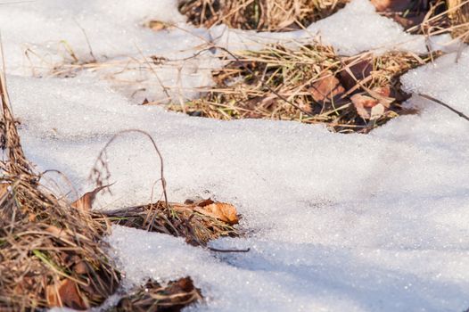 land and the snow melts in the spring