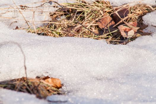 land and the snow melts in the spring