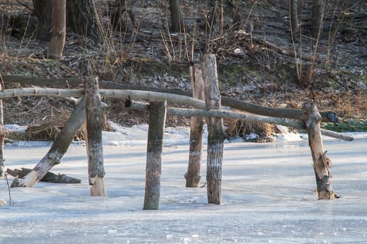 river, winter, snow on a foggy day