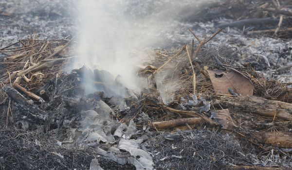 fire burning hay