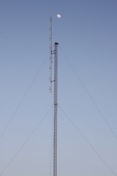 Crescent Moon over cellular antenna in thailand