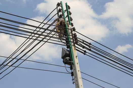 The electricity post and bird's nest in thailand