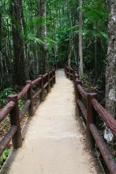 The educational nature trails in thailand