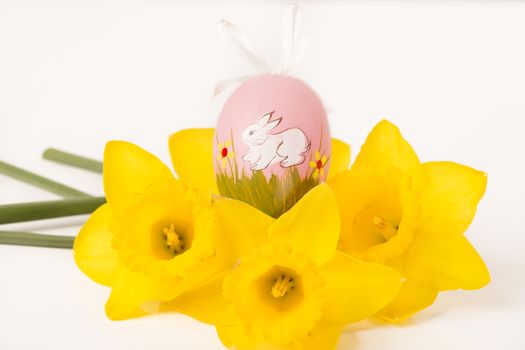 easter egg in spring flowers with background