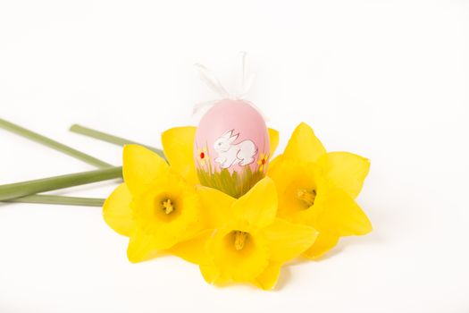 easter egg in spring flowers with background