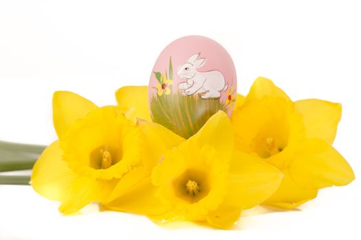 easter egg in spring flowers with background