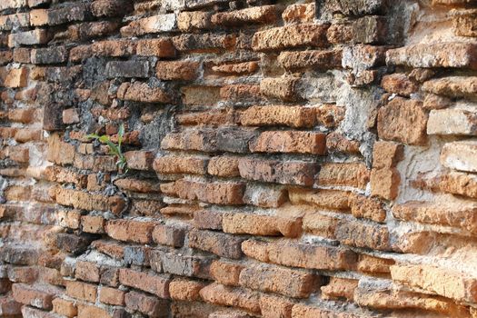 old brick wall background in thailand