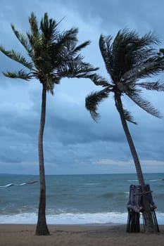 stome near beach phataya city,thailand