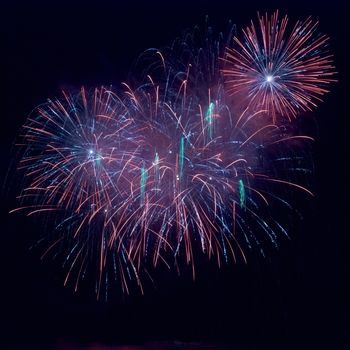 Colorful fireworks on the black sky background