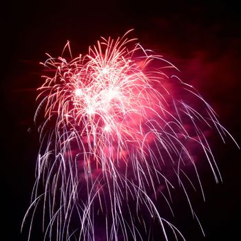 Beautiful fireworks on the black sky background