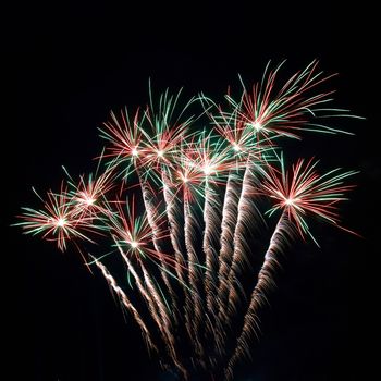 Colorful fireworks on the black sky background