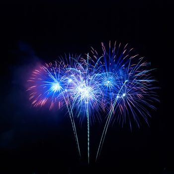 Colorful fireworks on the black sky background