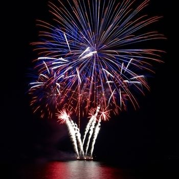 Colorful fireworks on the black sky background