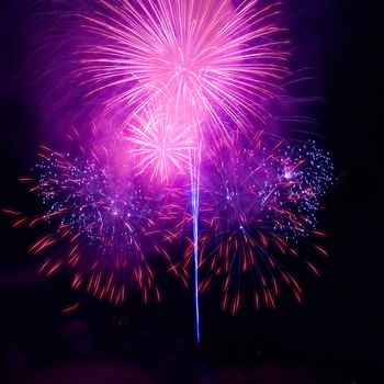 Colorful fireworks on the black sky background