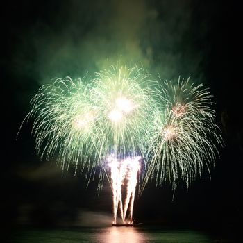 Colorful fireworks on the black sky background